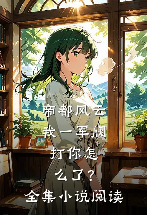 帝都风云：我一军阀，打你怎么了？全集小说阅读