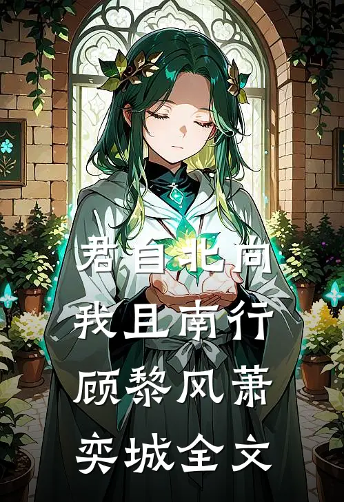 君自北向,我且南行顾黎风萧奕城全文