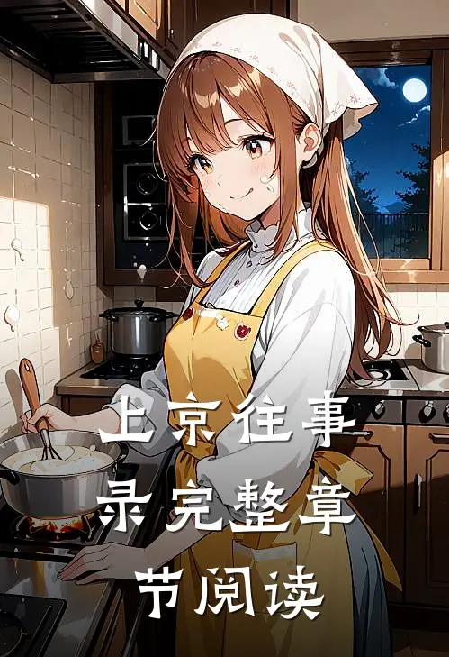 上京往事录完整章节阅读