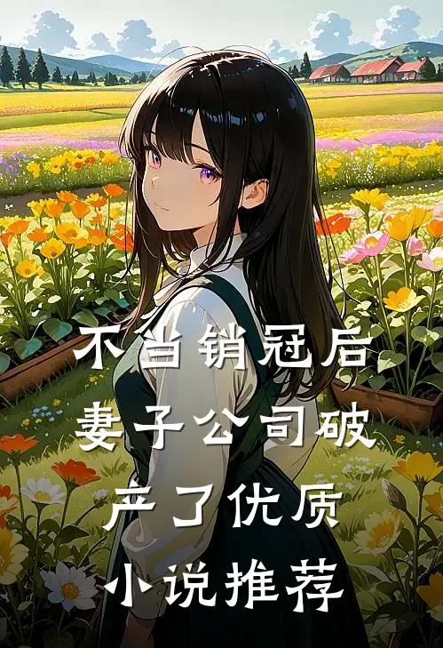 不当销冠后，妻子公司破产了优质小说推荐