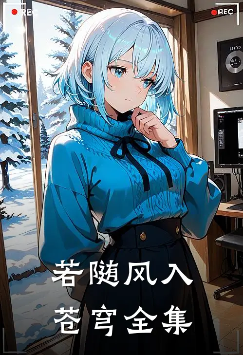 若随风入苍穹全集