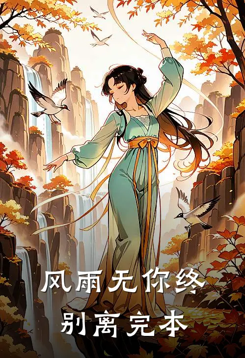 风雨无你终别离完本