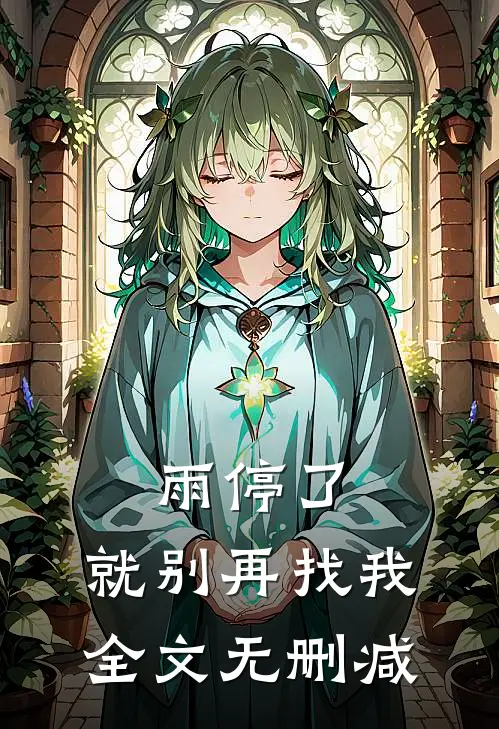 雨停了，就别再找我全文无删减