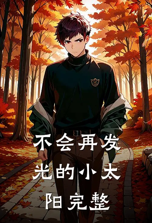 不会再发光的小太阳完整