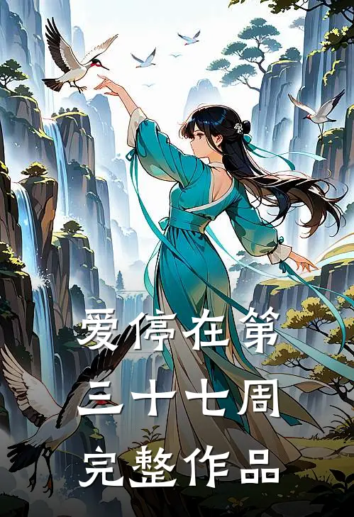爱停在第三十七周完整作品