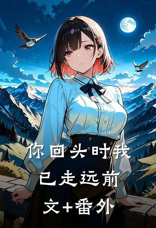 你回头时我已走远前文+番外