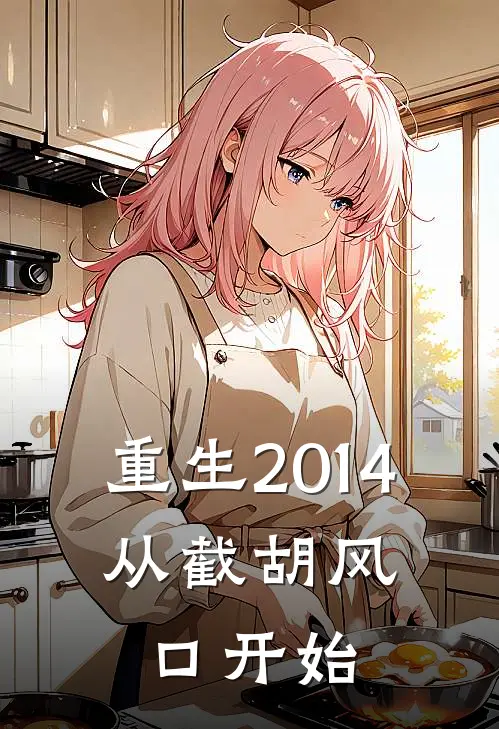 重生2014：从截胡风口开始