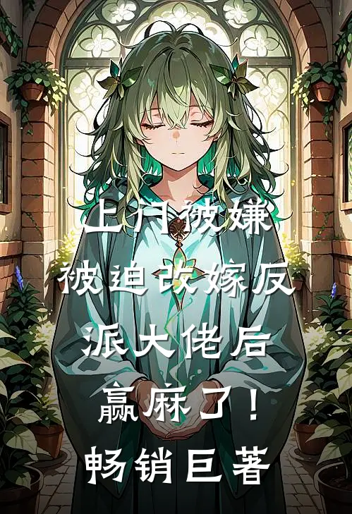 上门被嫌，被迫改嫁反派大佬后赢麻了！畅销巨著