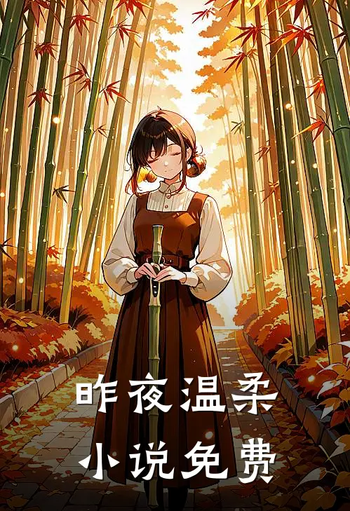 昨夜温柔小说免费