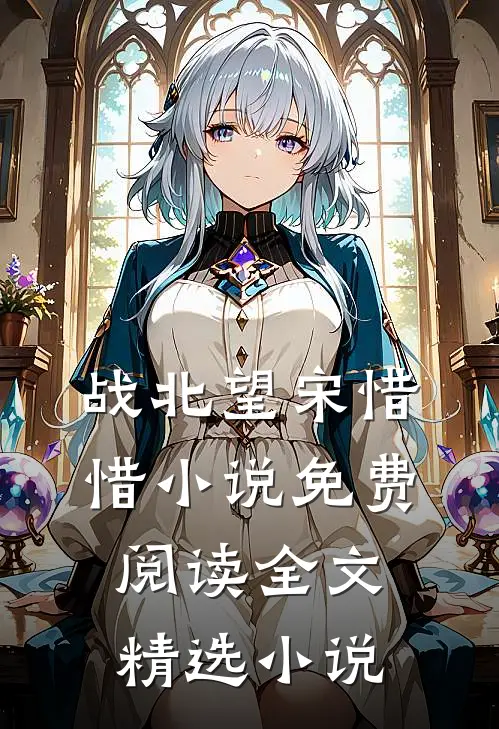 战北望宋惜惜小说免费阅读全文精选小说