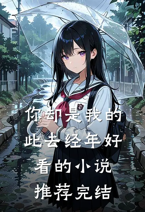 你却是我的此去经年好看的小说推荐完结