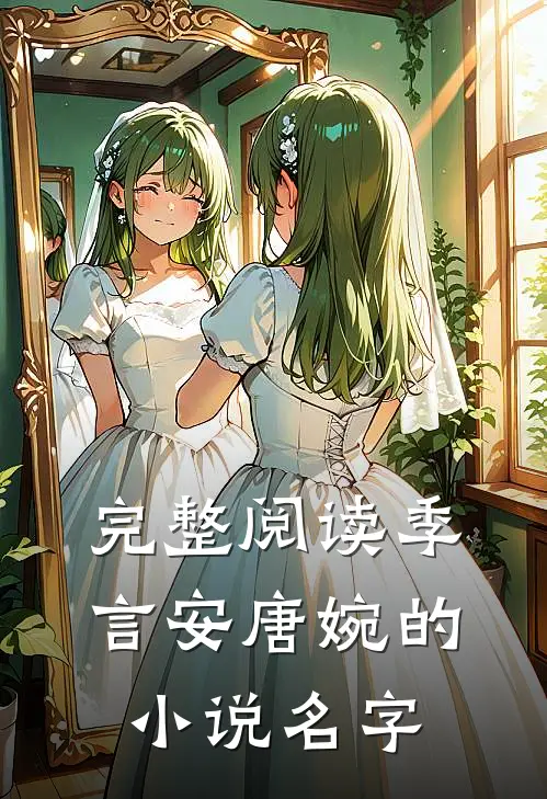 完整阅读季言安唐婉的小说名字