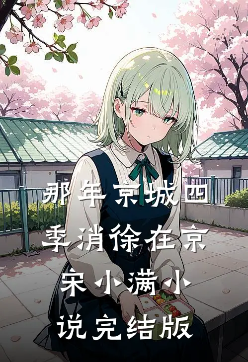 那年京城四季消徐在京宋小满小说完结版
