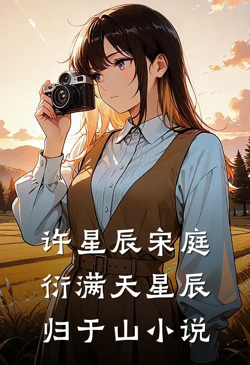 许星辰宋庭衍满天星辰归于山小说