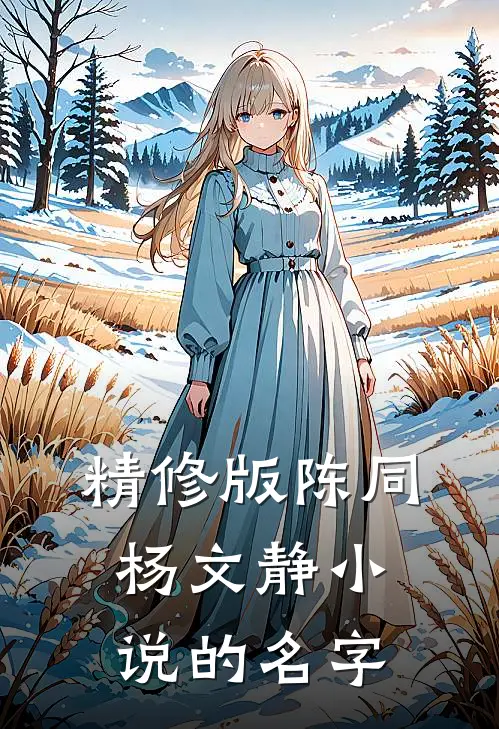 精修版陈同杨文静小说的名字