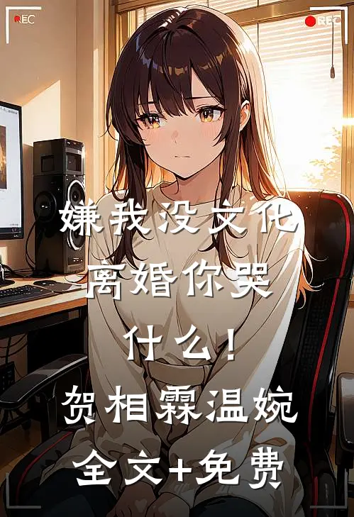嫌我没文化，离婚你哭什么！贺相霖温婉全文+免费