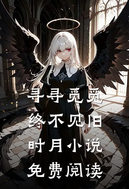 寻寻觅觅，终不见旧时月小说免费阅读