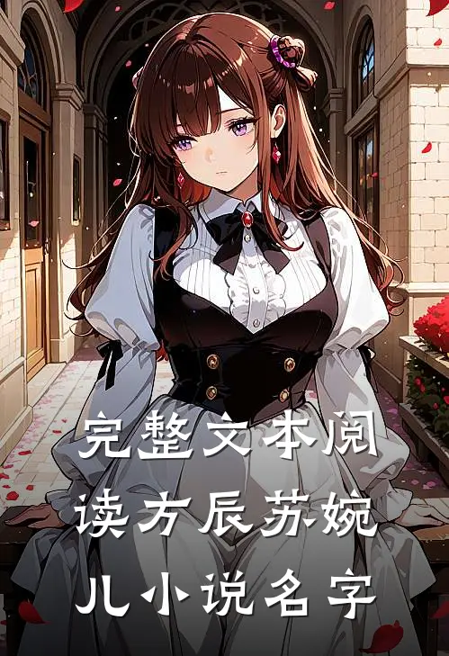 完整文本阅读方辰苏婉儿小说名字