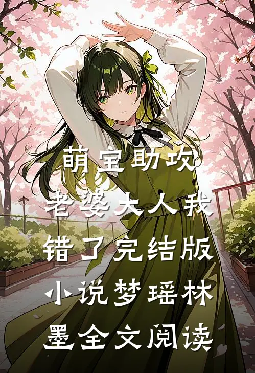 萌宝助攻：老婆大人我错了完结版小说_梦瑶林墨全文阅读