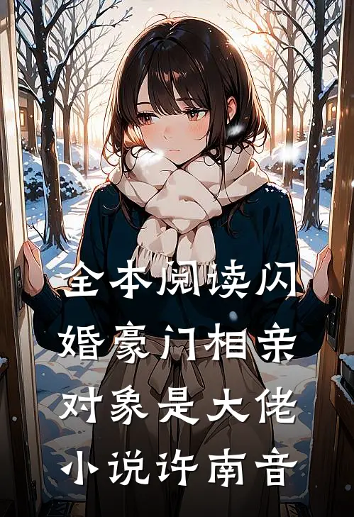 全本阅读闪婚豪门相亲对象是大佬小说许南音