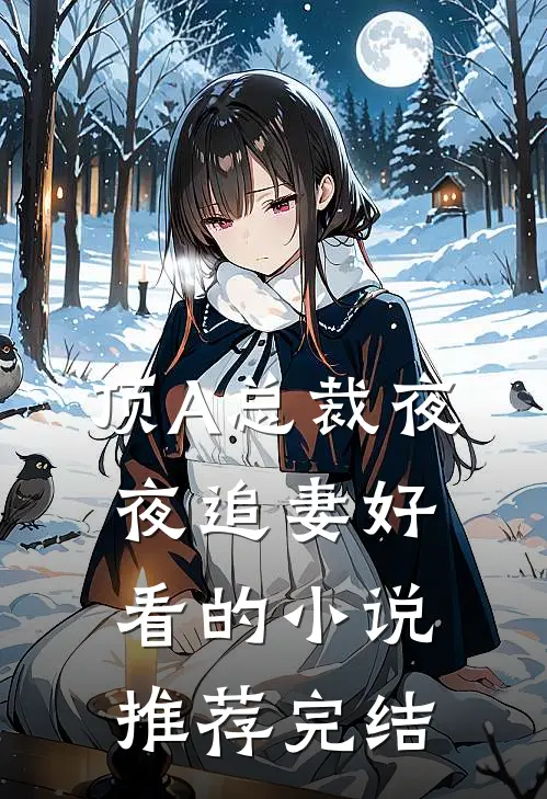 顶A总裁夜夜追妻好看的小说推荐完结