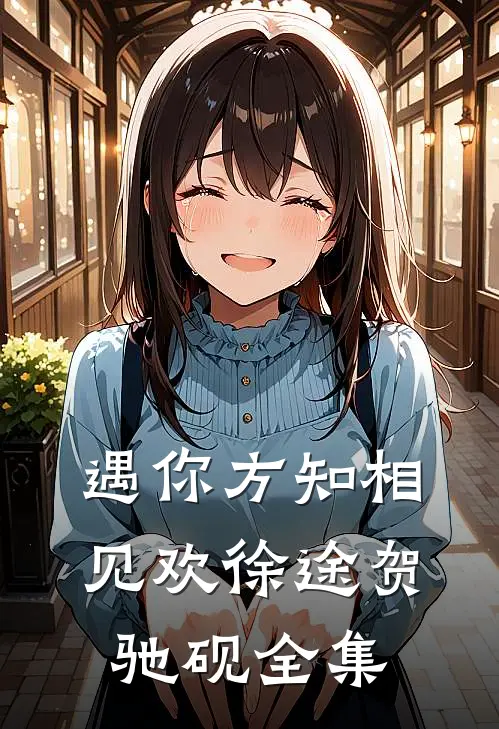 遇你方知相见欢徐途贺驰砚全集