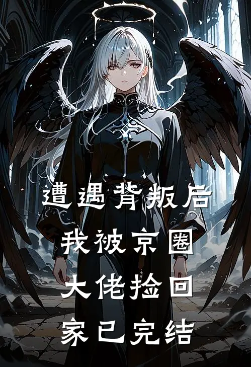 遭遇背叛后，我被京圈大佬捡回家已完结