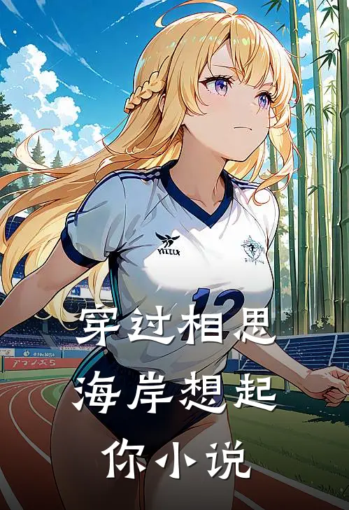 穿过相思海岸想起你小说
