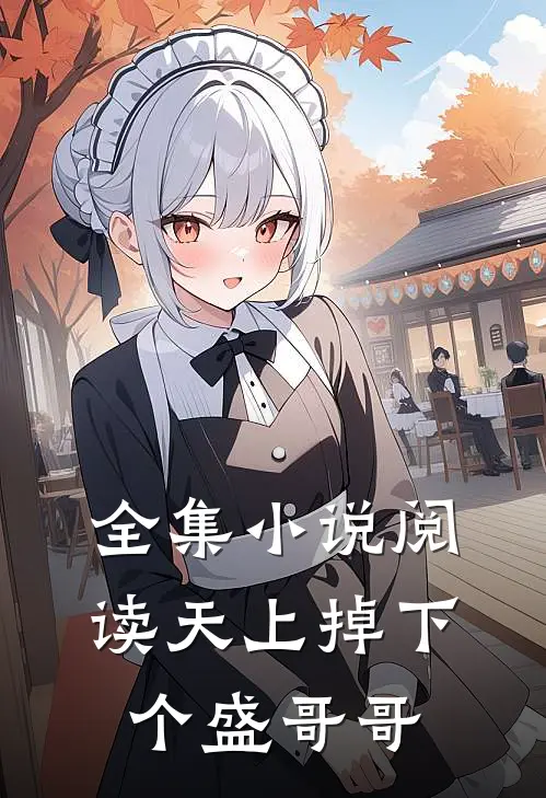 全集小说阅读天上掉下个盛哥哥