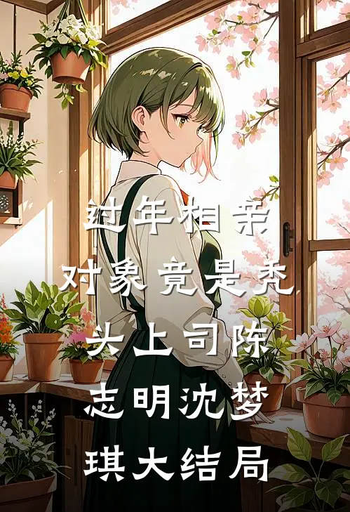 过年相亲，对象竟是秃头上司陈志明沈梦琪大结局