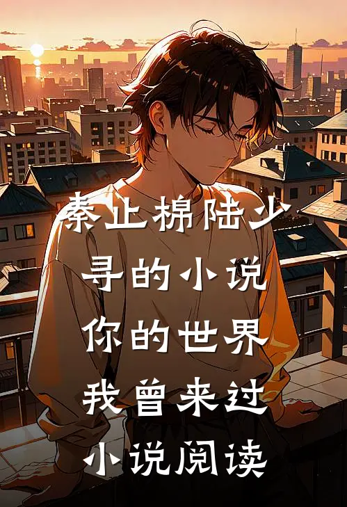 秦止棉陆少寻的小说你的世界，我曾来过小说阅读
