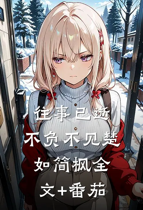 往事已逝，不负不见楚如简枫全文+番茄