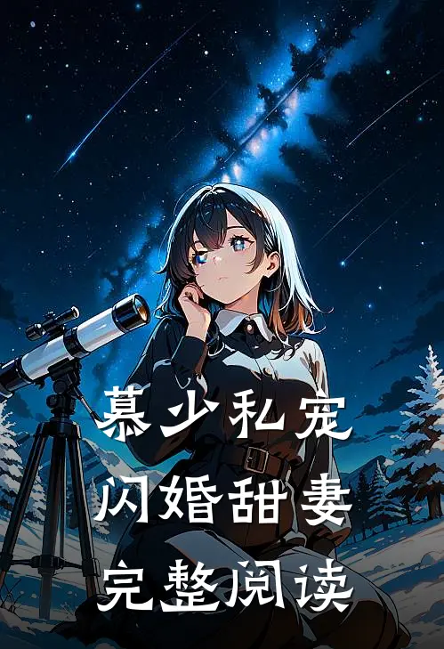 慕少私宠闪婚甜妻完整阅读