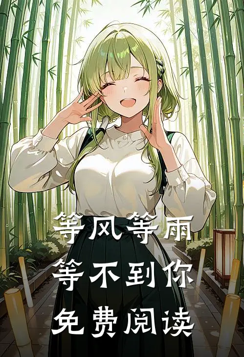 等风等雨等不到你免费阅读