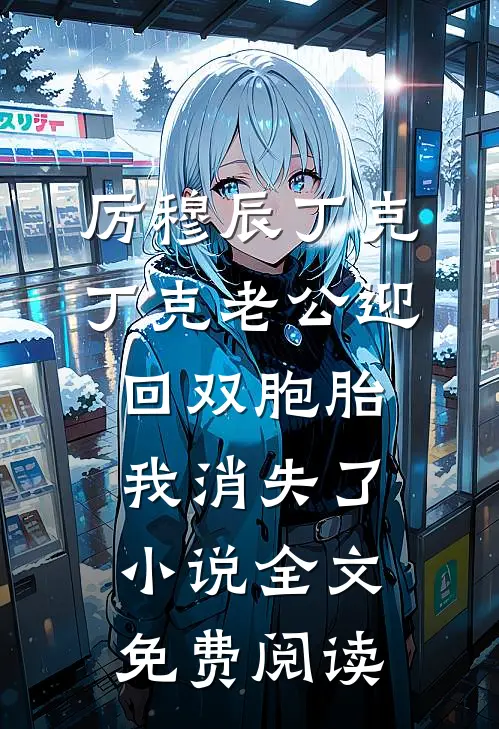 厉穆辰丁克丁克老公迎回双胞胎，我消失了小说全文免费阅读
