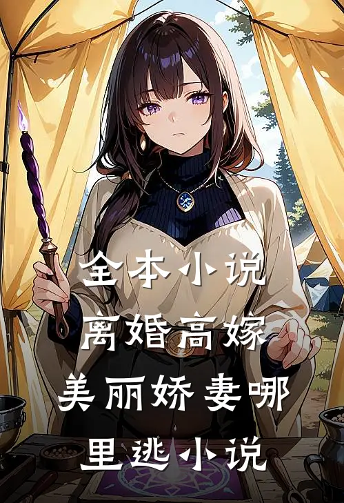 全本小说离婚高嫁:美丽娇妻哪里逃小说