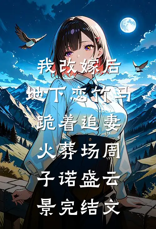 我改嫁后，地下恋竹马跪着追妻火葬场周子诺盛云景完结文