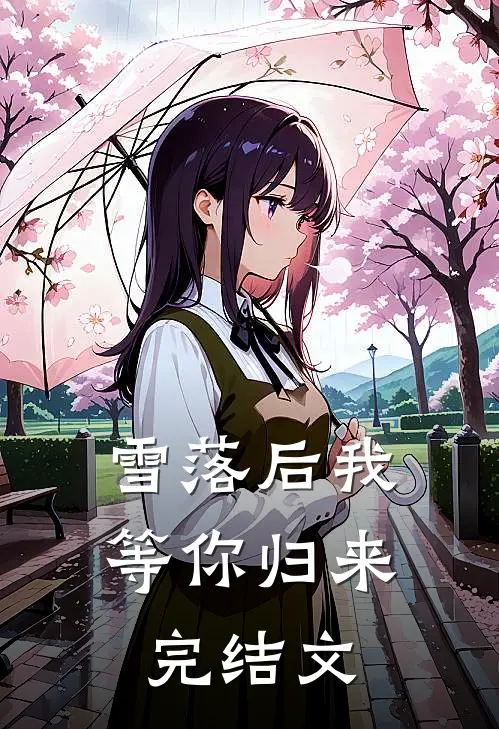 雪落后我等你归来完结文
