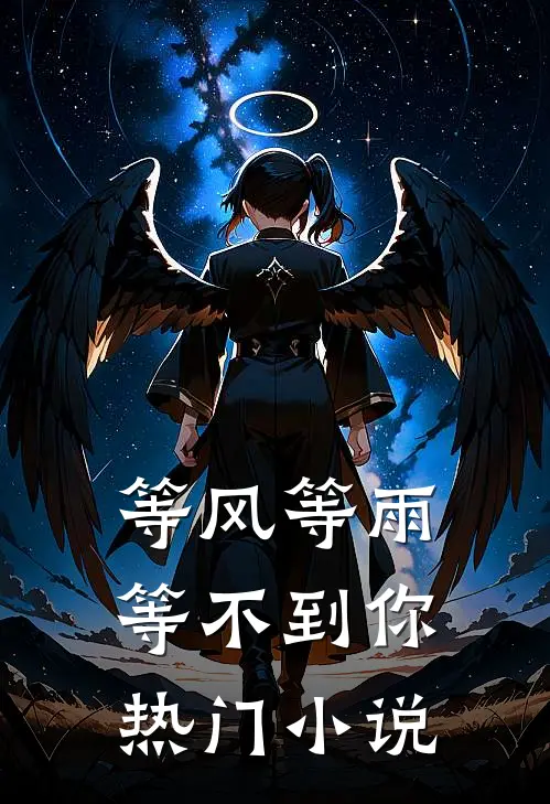 等风等雨等不到你热门小说