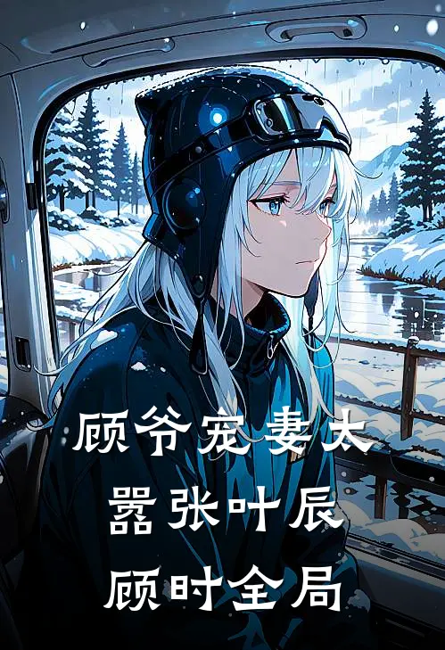 顾爷宠妻太嚣张叶辰顾时全局
