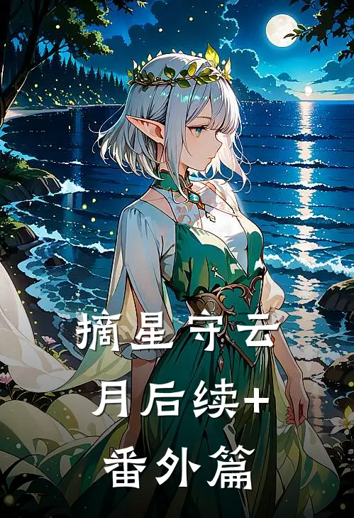 摘星守云月后续+番外篇