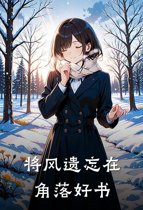将风遗忘在角落好书