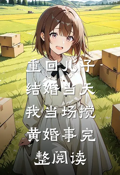 重回儿子结婚当天，我当场搅黄婚事完整阅读
