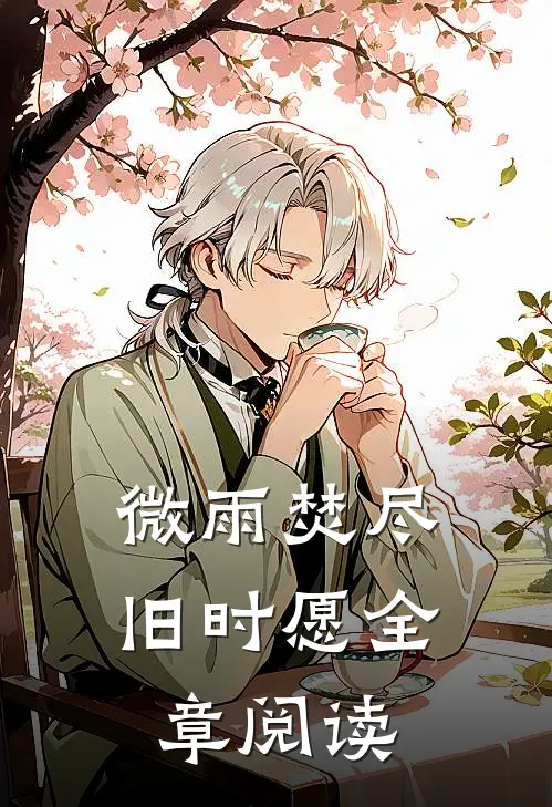 微雨焚尽旧时愿全章阅读