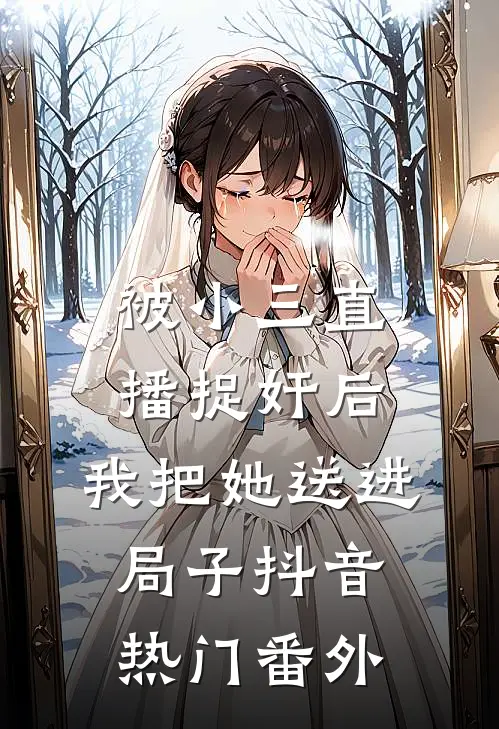 被小三直播捉奸后，我把她送进局子抖音热门 番外