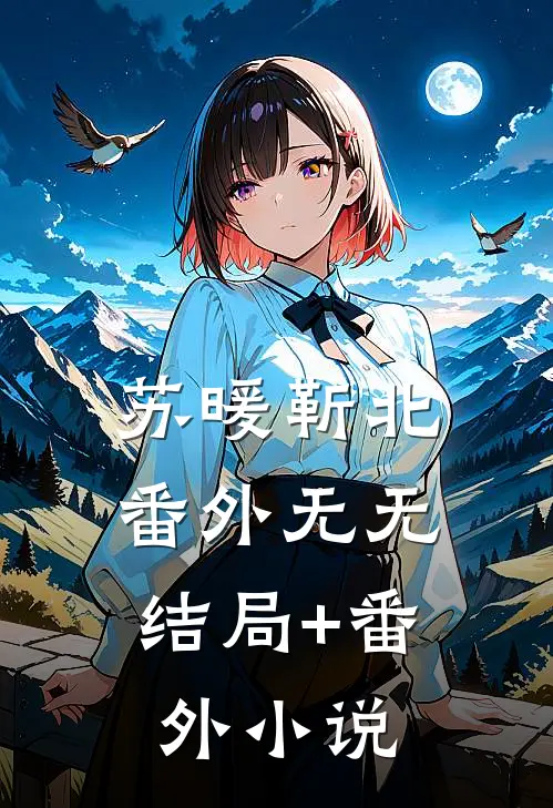 苏暖靳北： 番外无无结局+番外小说