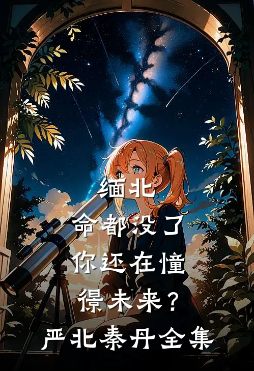 缅北：命都没了，你还在憧憬未来？严北秦丹 全集