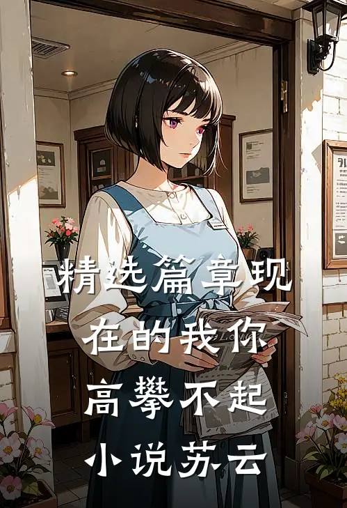 精选篇章现在的我你高攀不起小说苏云