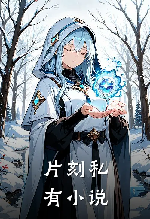 片刻私有小说