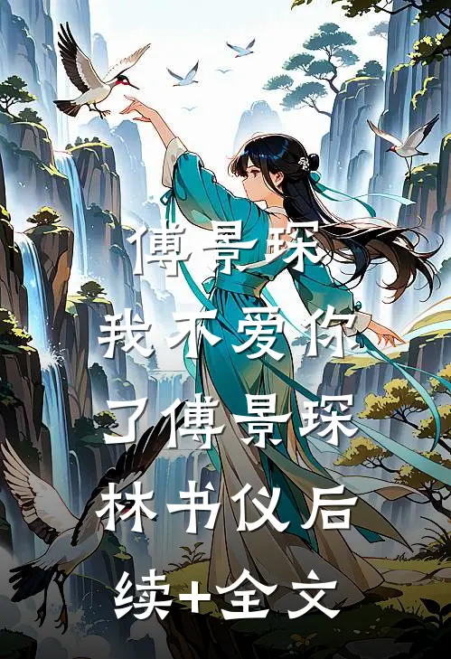 傅景琛，我不爱你了傅景琛林书仪后续+全文